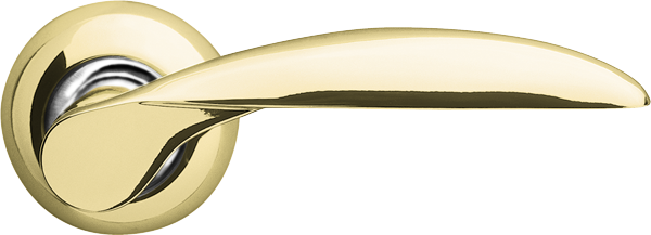 Ruchka-Armadillo-diona-pb